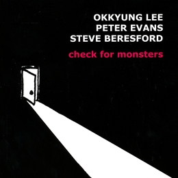 Image du média "CHECK FOR MONSTERS de Okkyung LEE"