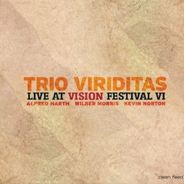 Image du média "LIVE AT VISION FESTIVAL VI de TRIO VIRIDITAS"