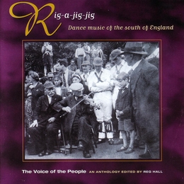 Image du média "VOICE OF THE PEOPLE VOL. 9: RIG-A-JIG-JIG"