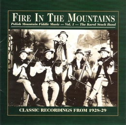 Image du média "FIRE IN THE MOUNTAINS: POLISH MOUNTAIN FIDDLE MUS. VOL.1"