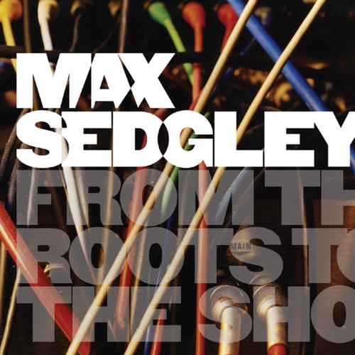 Couverture FROM THE ROOTS TO THE SHOOTS de Max SEDGLEY