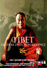 Image du média "TIBET, LE CHOIX DE LA NON-VIOLENCE de Ludovic SEGARRA"