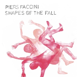 Image du média "SHAPES OF THE FALL de Piers FACCINI"