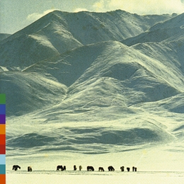 Image du média "VOICES FROM THE DISTANT STEPPE de SHU-DE"