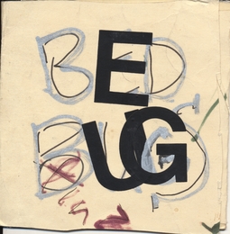 Image du média "BED BUGS de Eugene CHADBOURNE"