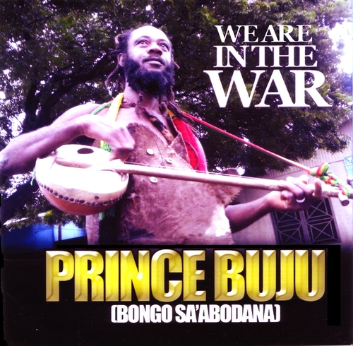 Couverture WE ARE IN THE WAR de PRINCE BUJU