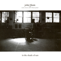 Image du média "IN THE SHADE OF SUN de John BLUM"