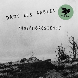 Image du média "PHOSPHORESCENCE de DANS LES ARBRES"