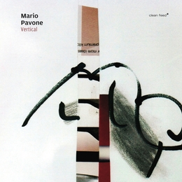 Image du média "VERTICAL de Mario PAVONE"