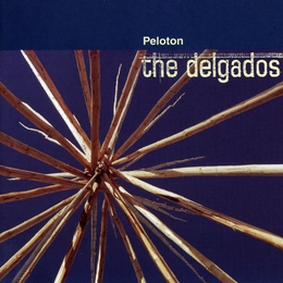 Image du média "PELOTON de THE DELGADOS"