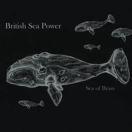 Image du média "SEA OF BRASS de BRITISH SEA POWER"