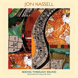 Image du média "SEEING THROUGH SOUND de Jon HASSELL"