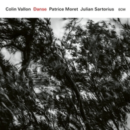 Image du média "DANSE de Colin VALLON"