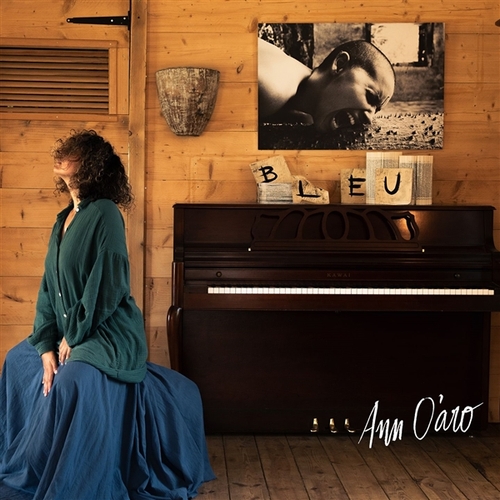 Couverture BLEU de Ann O'ARO