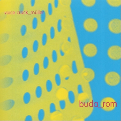 Couverture BUDA_ROOM de VOICE CRACK & GÜNTER MÜLLER