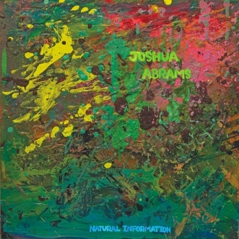 Couverture NATURAL INFORMATION de Joshua ABRAMS