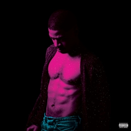 Image du média "PASSION, PAIN & DEMON SLAYIN' de KID CUDI"