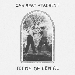 Image du média "TEENS OF DENIAL de CAR SEAT HEADREST"