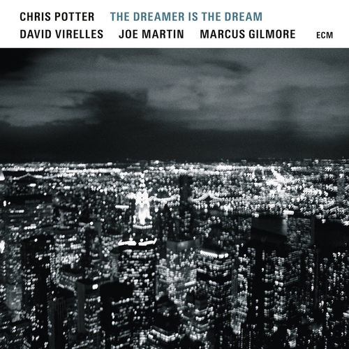 Couverture THE DREAMER IS THE DREAM de Chris POTTER