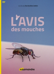 Image du média "L'AVIS DES MOUCHES de Paul-Aurélien COMBRE"