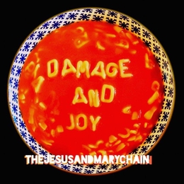 Image du média "DAMAGE AND JOY de THE JESUS & MARY CHAIN"