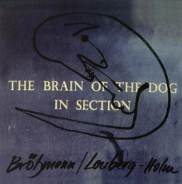 Image du média "THE BRAIN OF THE DOG IN SECTION de Peter BRÖTZMANN & FRED LONBERG-HOLM"