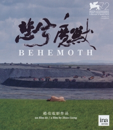 Image du média "BÉHÉMOTH - LE DRAGON NOIR de Liang ZHAO"