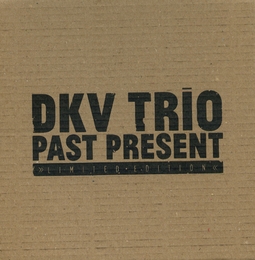 Image du média "PAST PRESENT de DKV TRIO (DRAKE/KESSLER/VANDERMARK)"