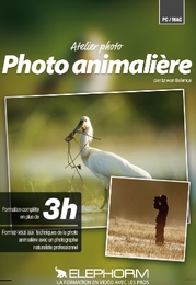 Image du média "ATELIER PHOTO - PHOTOGRAPHIE ANIMALIERE de ELEPHORM"