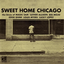 Image du média "SWEET HOME CHICAGO de CHICAGO"