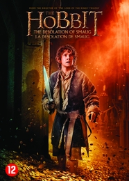 Image du média "LE HOBBIT: LA DÉSOLATION DE SMAUG de Peter JACKSON"