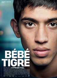 Image du média "BÉBÉ TIGRE de Cyprien VIAL"