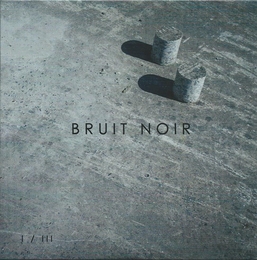 Image du média "I/III de BRUIT NOIR"