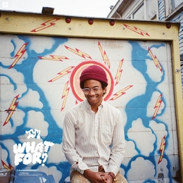 Image du média "WHAT FOR? de TORO Y MOI"