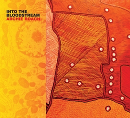 Image du média "INTO THE BLODDSTREAM de Archie ROACH"