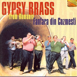 Image du média "GYPSY BRASS FROM ROMANIA de FANFARA DIN COZMESTI"