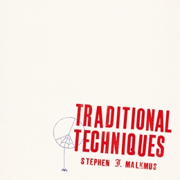 Image du média "TRADITIONAL de Stephen MALKMUS"