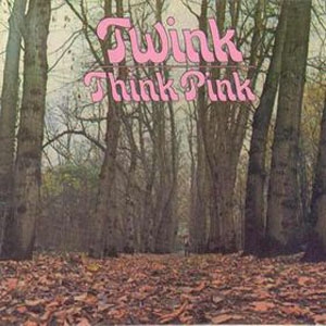 Couverture THINK PINK de TWINK (UK)