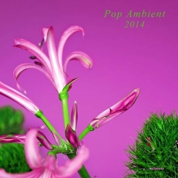 Image du média "POP AMBIENT 2014"