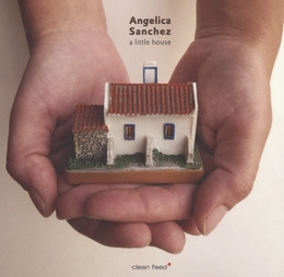 Image du média "A LITTLE HOUSE de Angelica SANCHEZ"