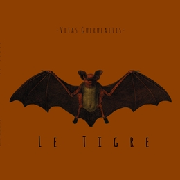 Image du média "LE TIGRE de VITAS GUERULAITIS"