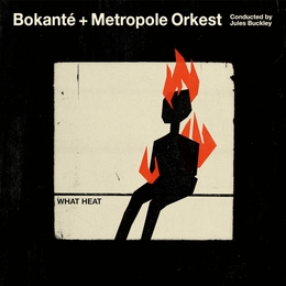 Image du média "WHAT HEAT de BOKANTÉ + METROPOLE ORKEST"