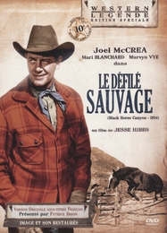 Image du média "LE DÉFILÉ SAUVAGE (LE MUSTANG NOIR) de Jesse HIBBS"