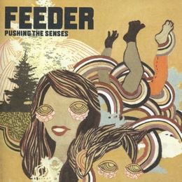 Image du média "PUSHING THE SENSES de FEEDER"