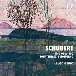 Image du média "TRIO CLAVIER 2 OP.100 / SONATENSATZ / NOTTURNO de Franz SCHUBERT"