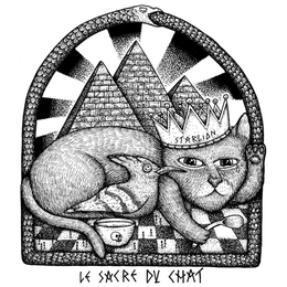 Image du média "LE SACRE DU CHAT de STARLION"