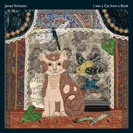 Image du média "I WAS A CAT FROM A BOOK de James YORKSTON"