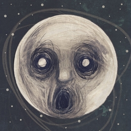 Image du média "THE RAVEN THAT REFUSED TO SING de Steven WILSON"