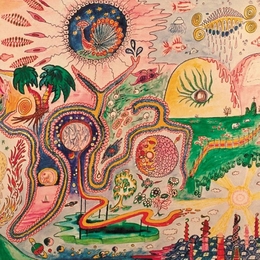 Image du média "WONDROUS BUGHOUSE de YOUTH LAGOON"