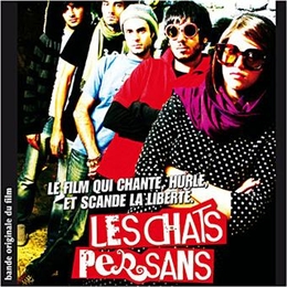 Image du média "LES CHATS PERSANS"